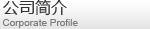公司簡介